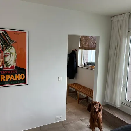 Penthouse 29 * Ostenda