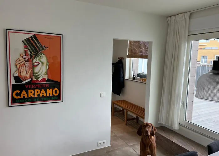 Penthouse 29 * Ostende